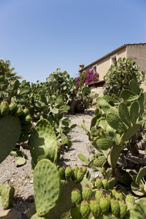 منزل الضيف ماناكور  في Agroturismo Can Patro المظهر الخارجي الصورة